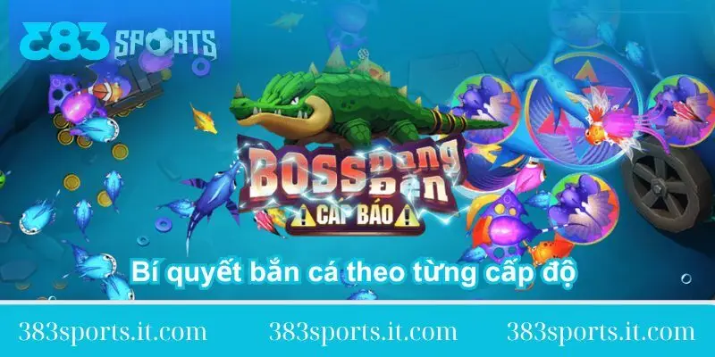 bi quyet ban ca theo tung cap do chi tiet bi-quyet-ban-ca-theo-tung-cap-do-chi-tiet