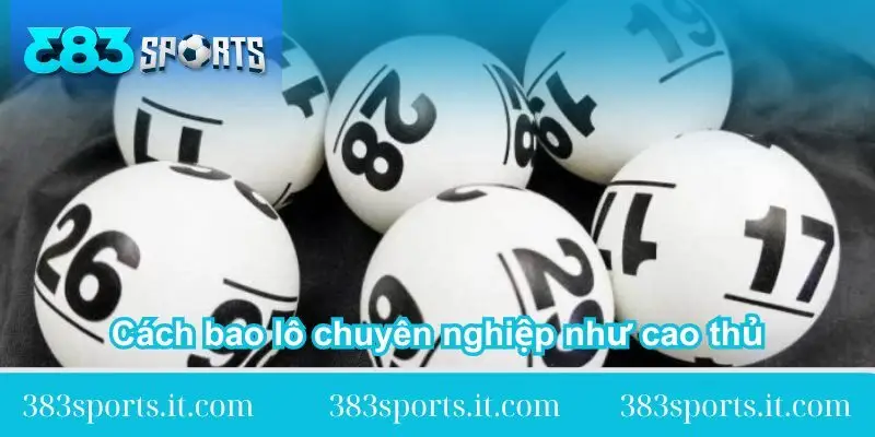 chia se cach bao lo chuyen nghiep nhu cao thu chia-se-cach-bao-lo-chuyen-nghiep-nhu-cao-thu