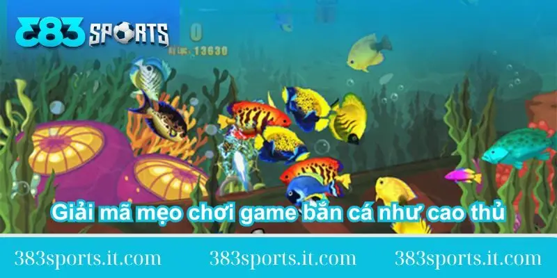 giai ma meo choi game ban ca nhu cao thu giai-ma-meo-choi-game-ban-ca-nhu-cao-thu