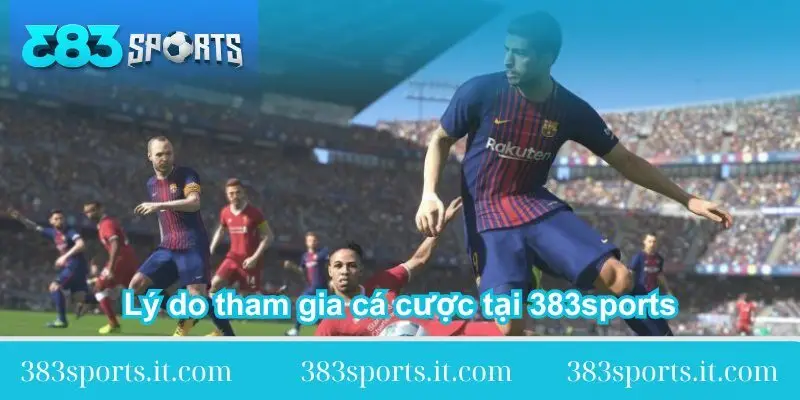 ly do tham gia ca cuoc tai trang chu 383sports
